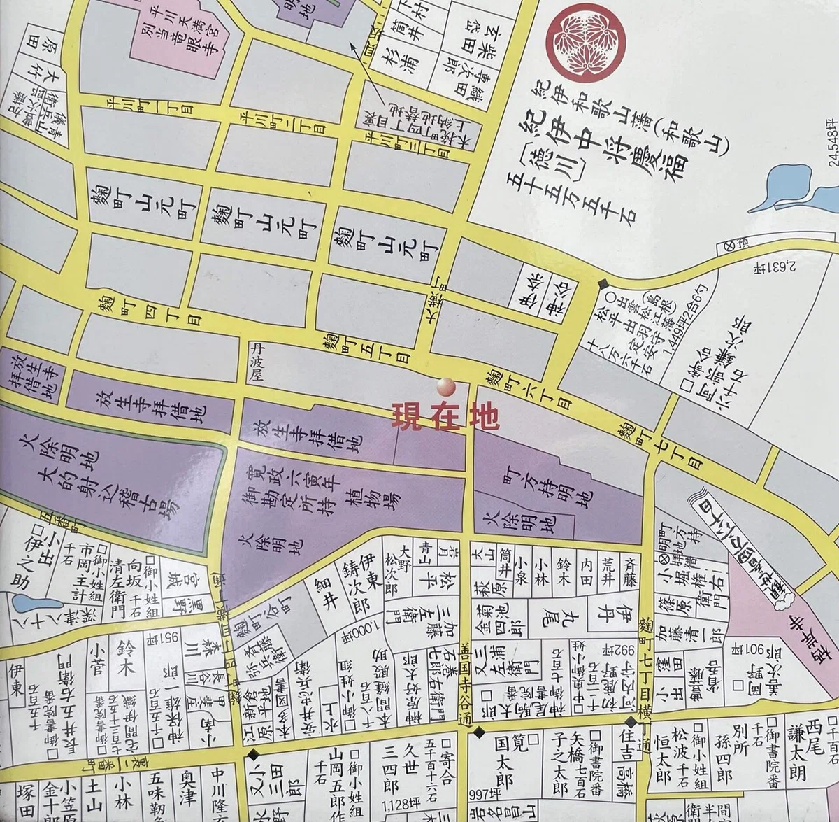 画像48