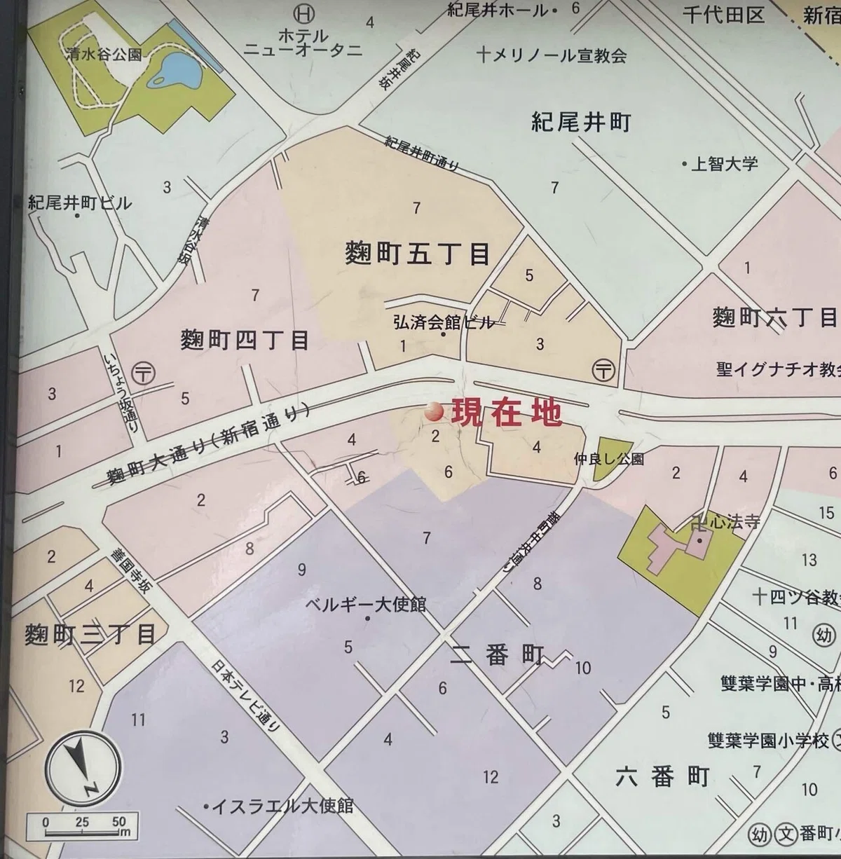 画像49