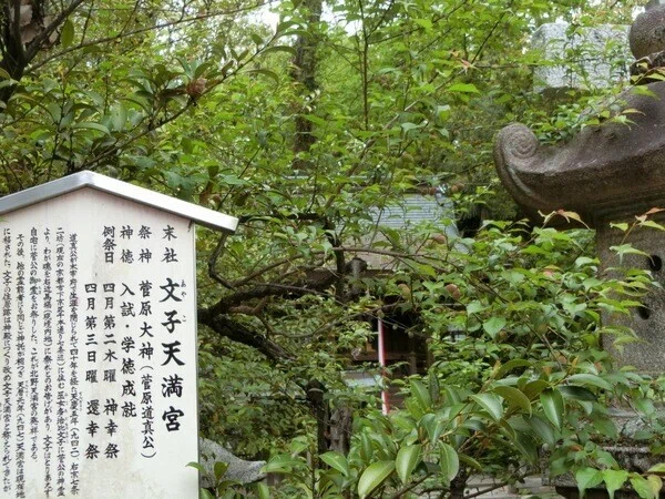 画像16