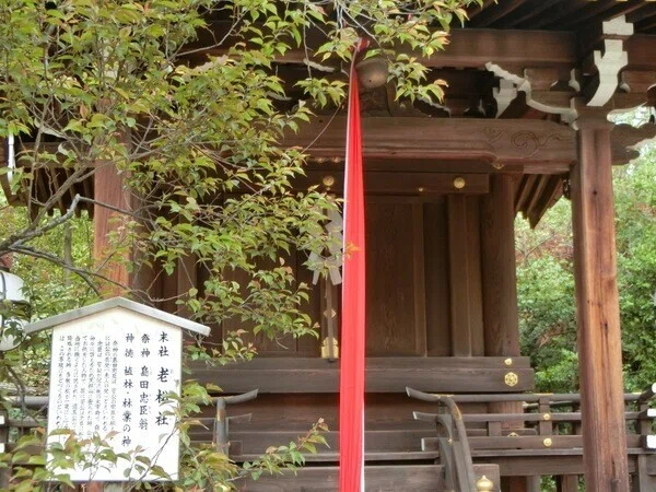 画像19