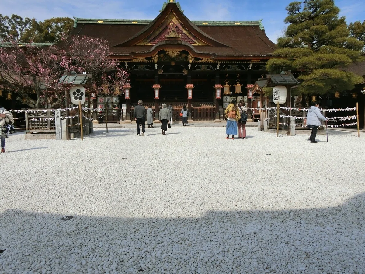 画像24