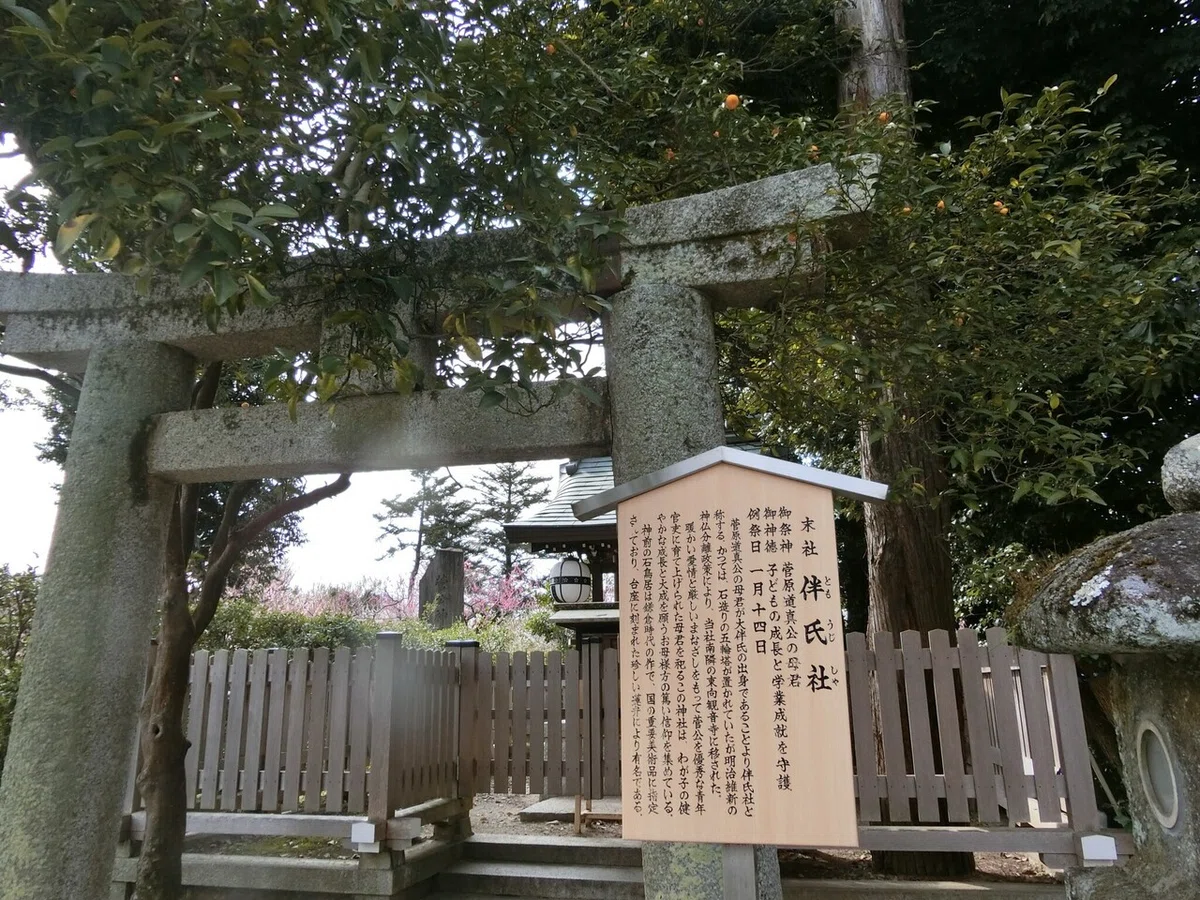 画像36