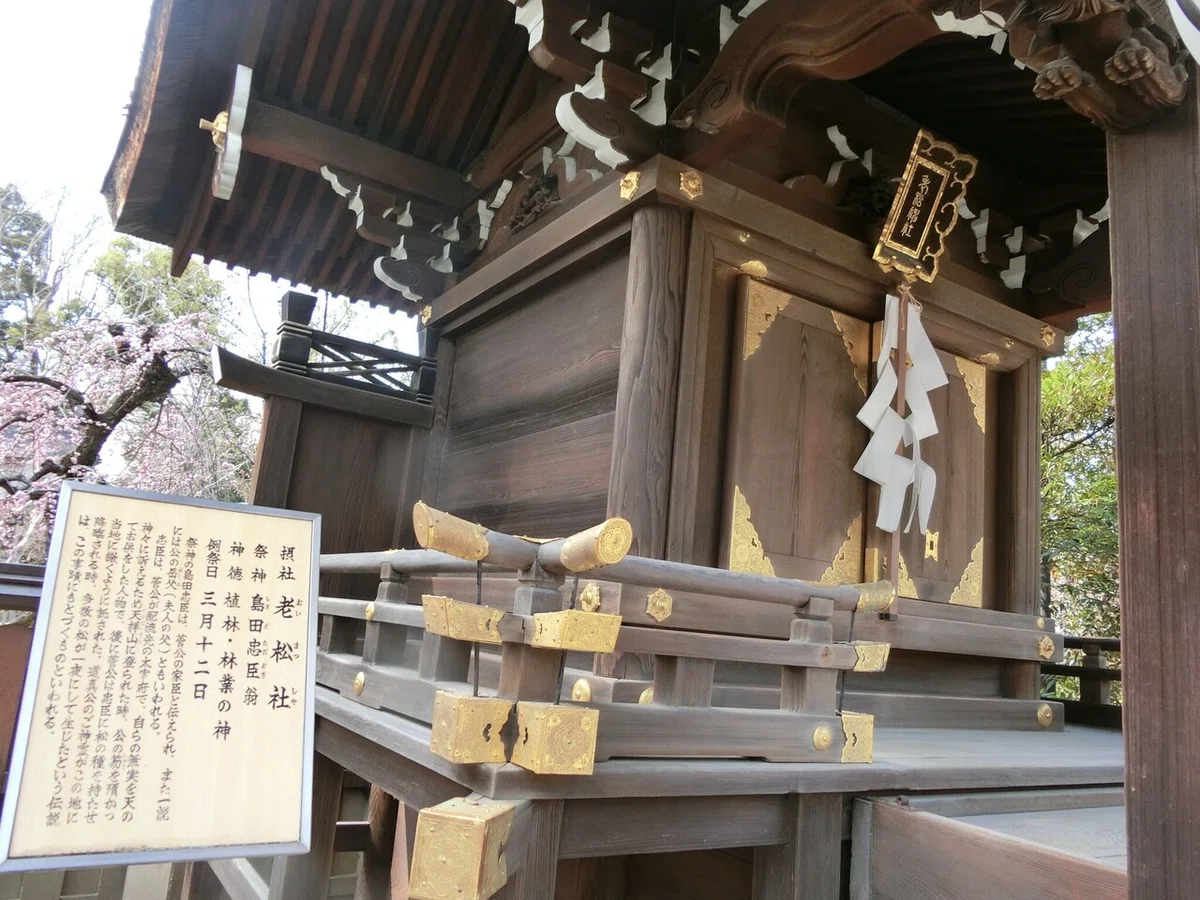 画像40