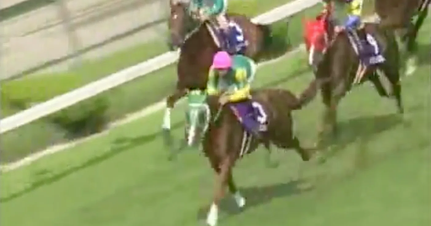 伝説の毎日王冠を見られてよかった。〜1998年の、私と競馬。｜稲庭うどん