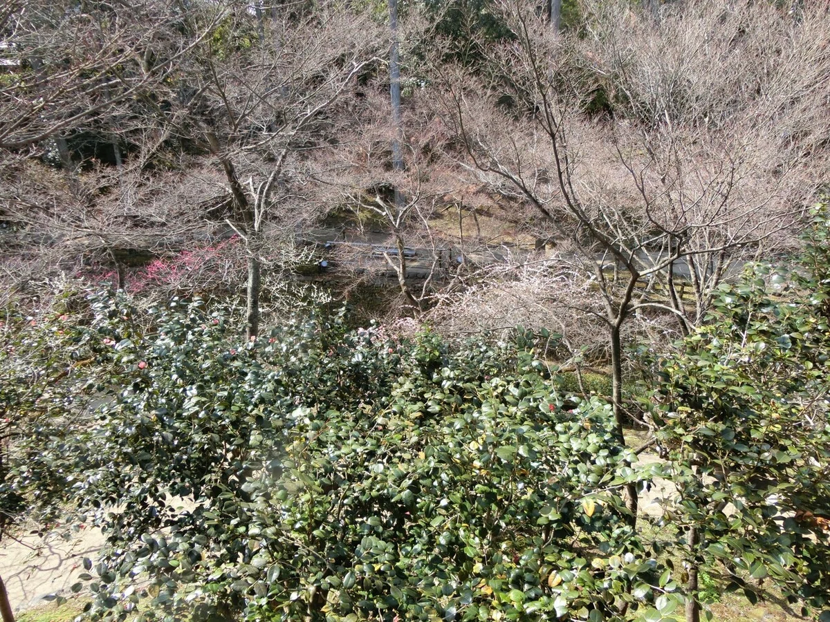 画像51