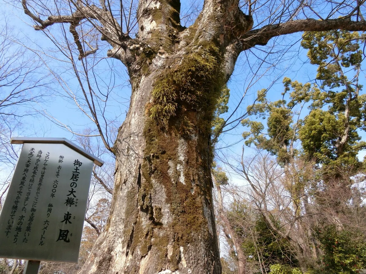 画像52