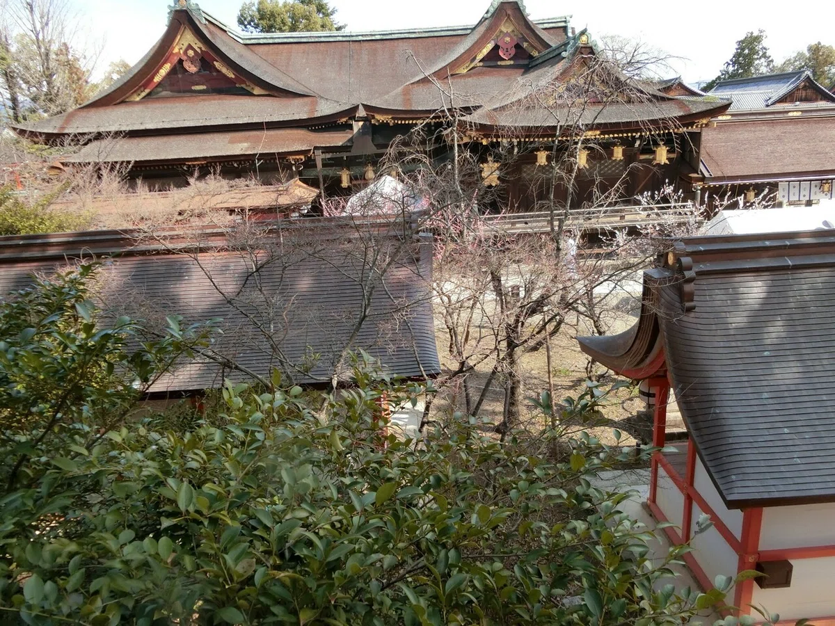 画像53