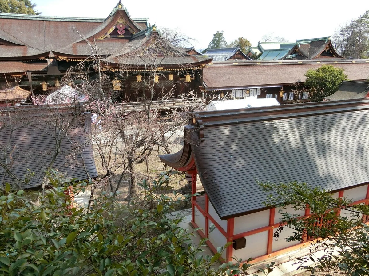 画像54