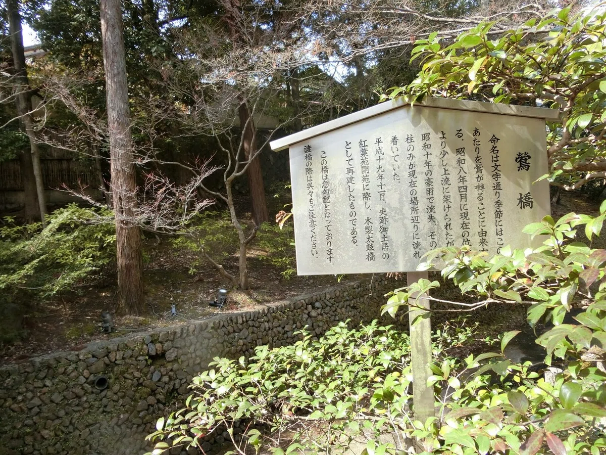 画像55