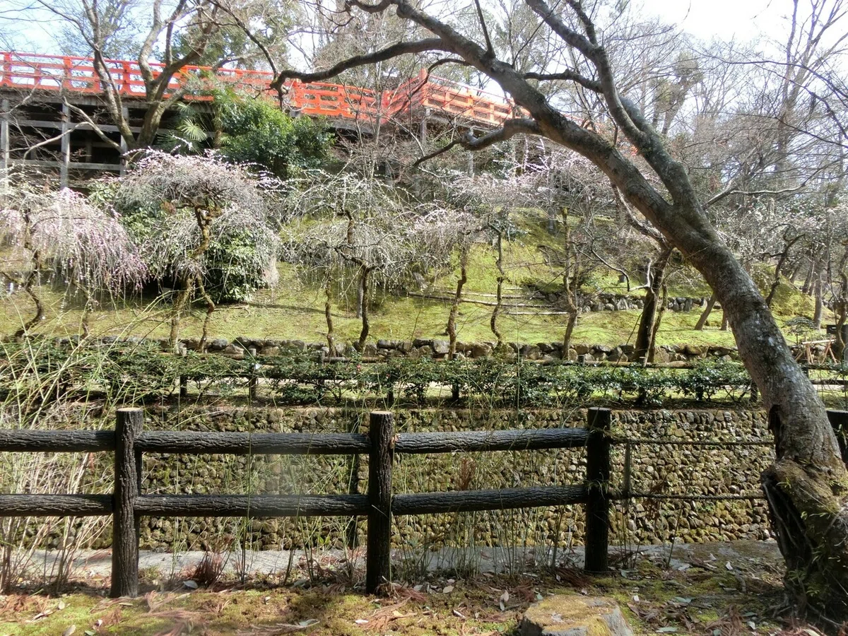 画像57