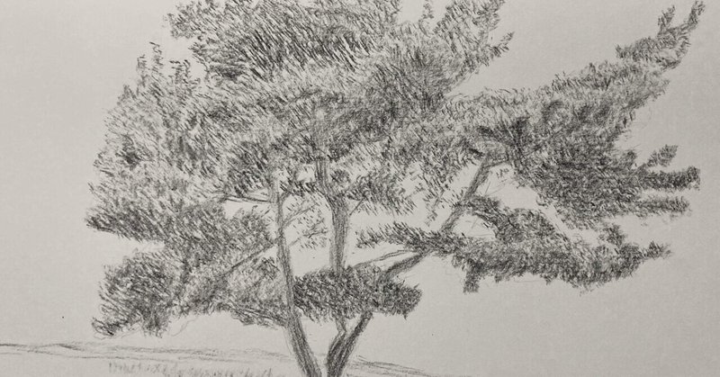 お絵描きの練習（１７）「木」