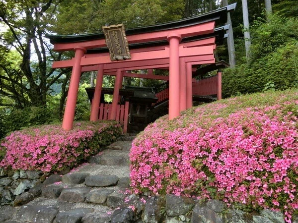 画像40