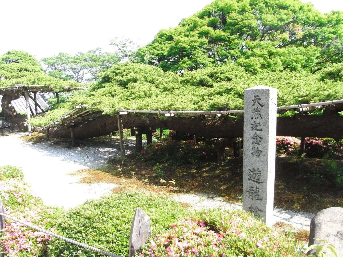 画像22