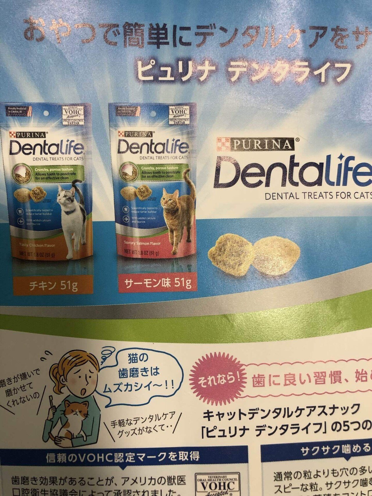 歯磨きおやつを食べた猫に訪れた試練とその結末｜kochibi(こちび)｜note