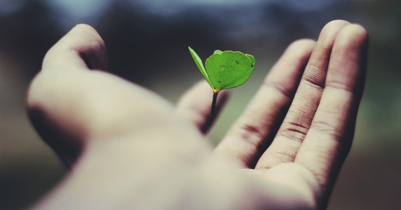 人生は短い の新着タグ記事一覧 Note つくる つながる とどける