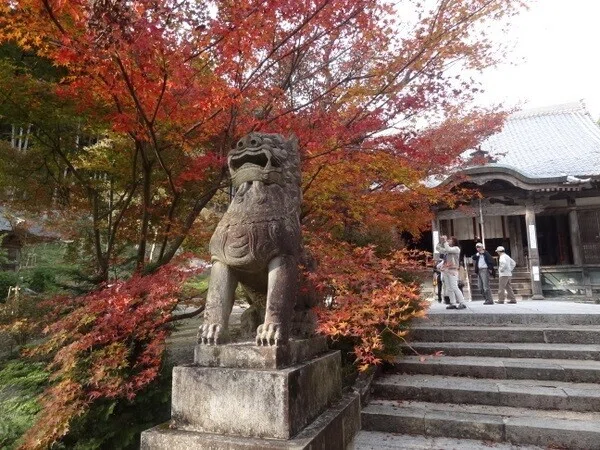 画像4