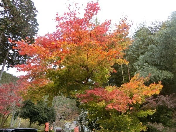 画像5