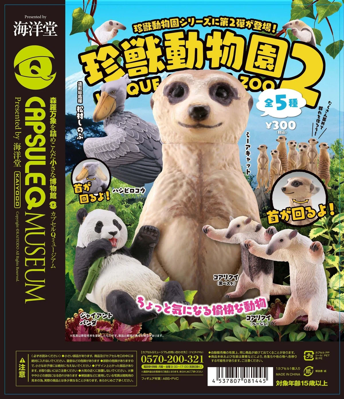 画像5