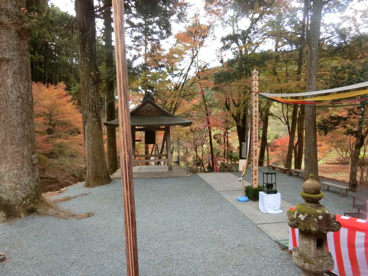 画像7
