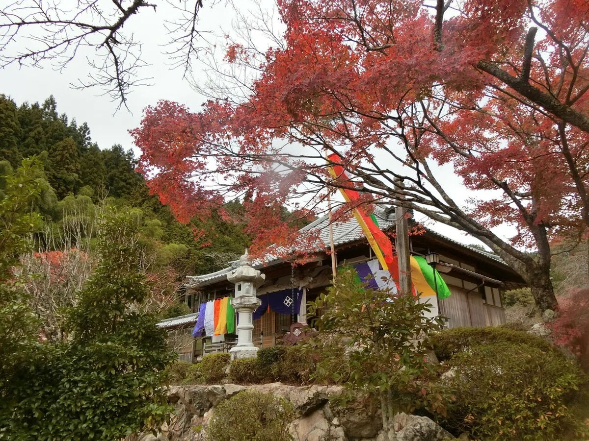 画像14