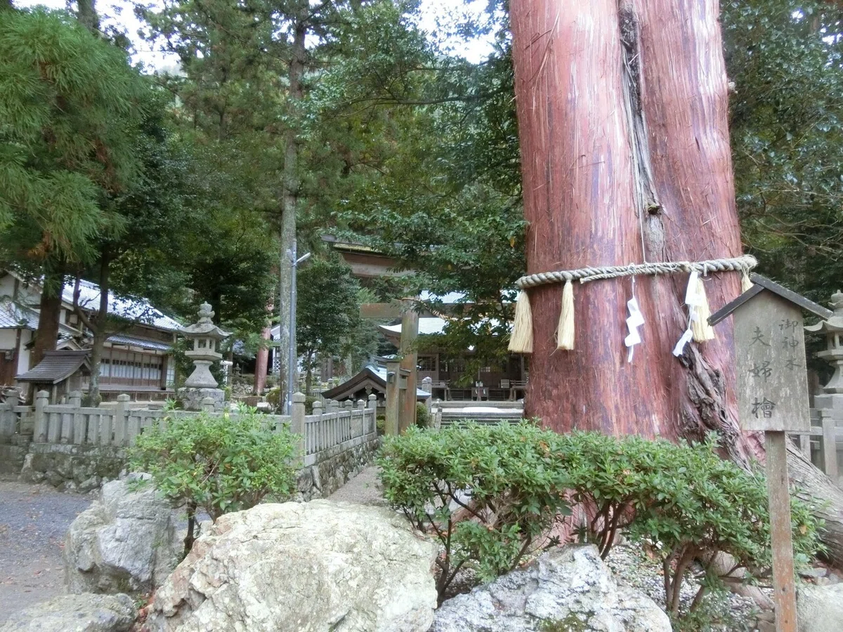 画像1