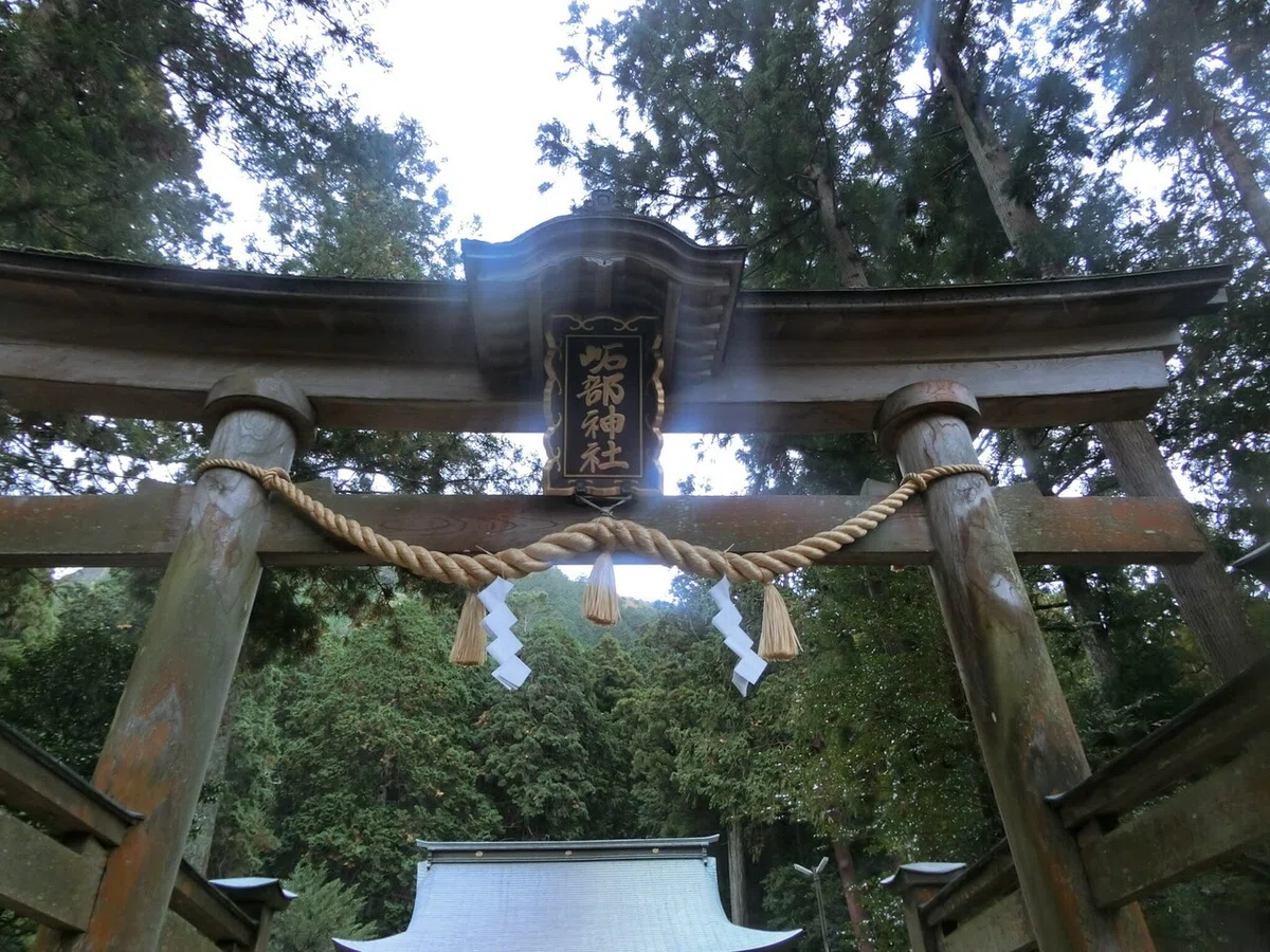 画像2