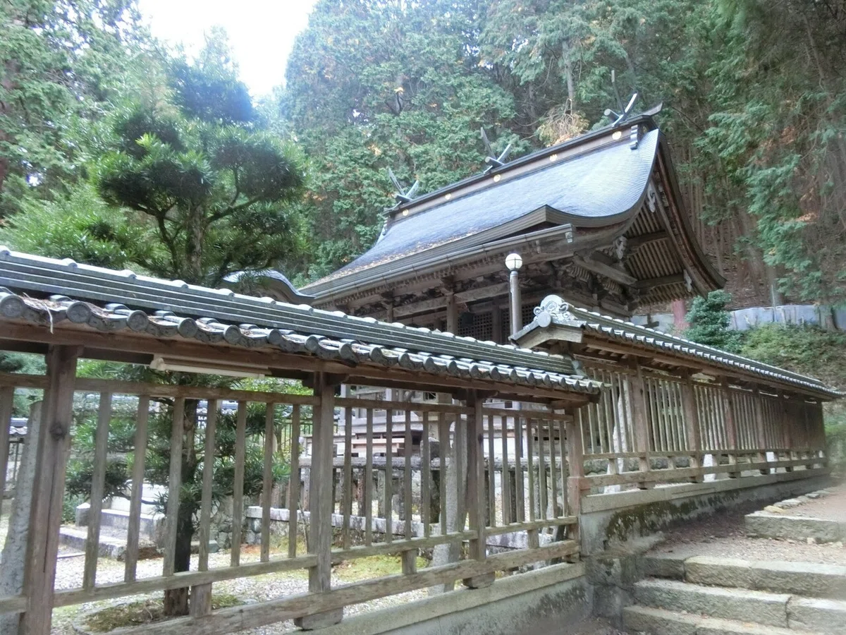 画像5