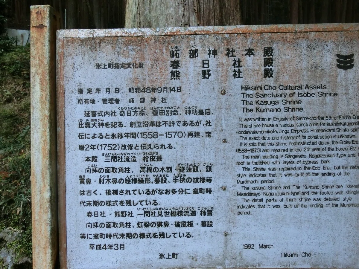 画像7