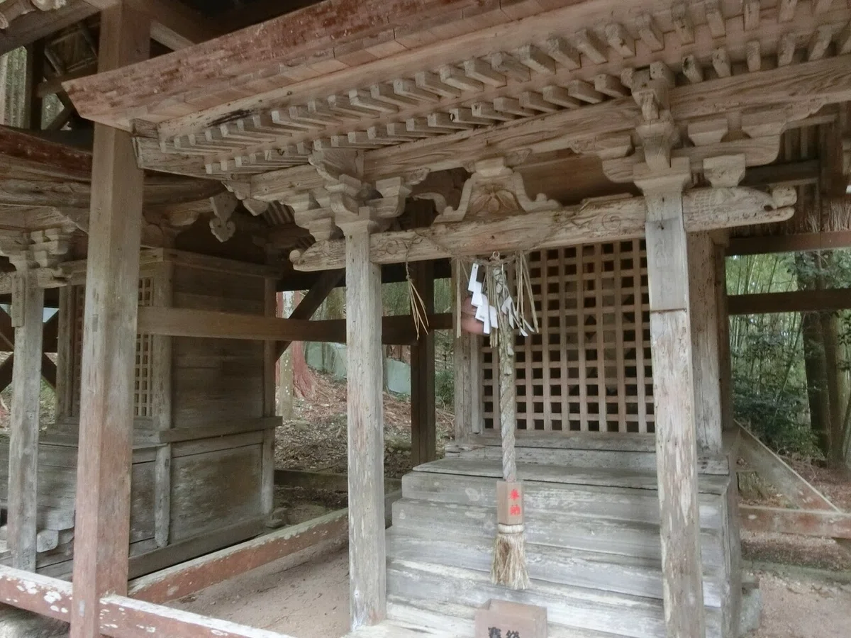 画像8