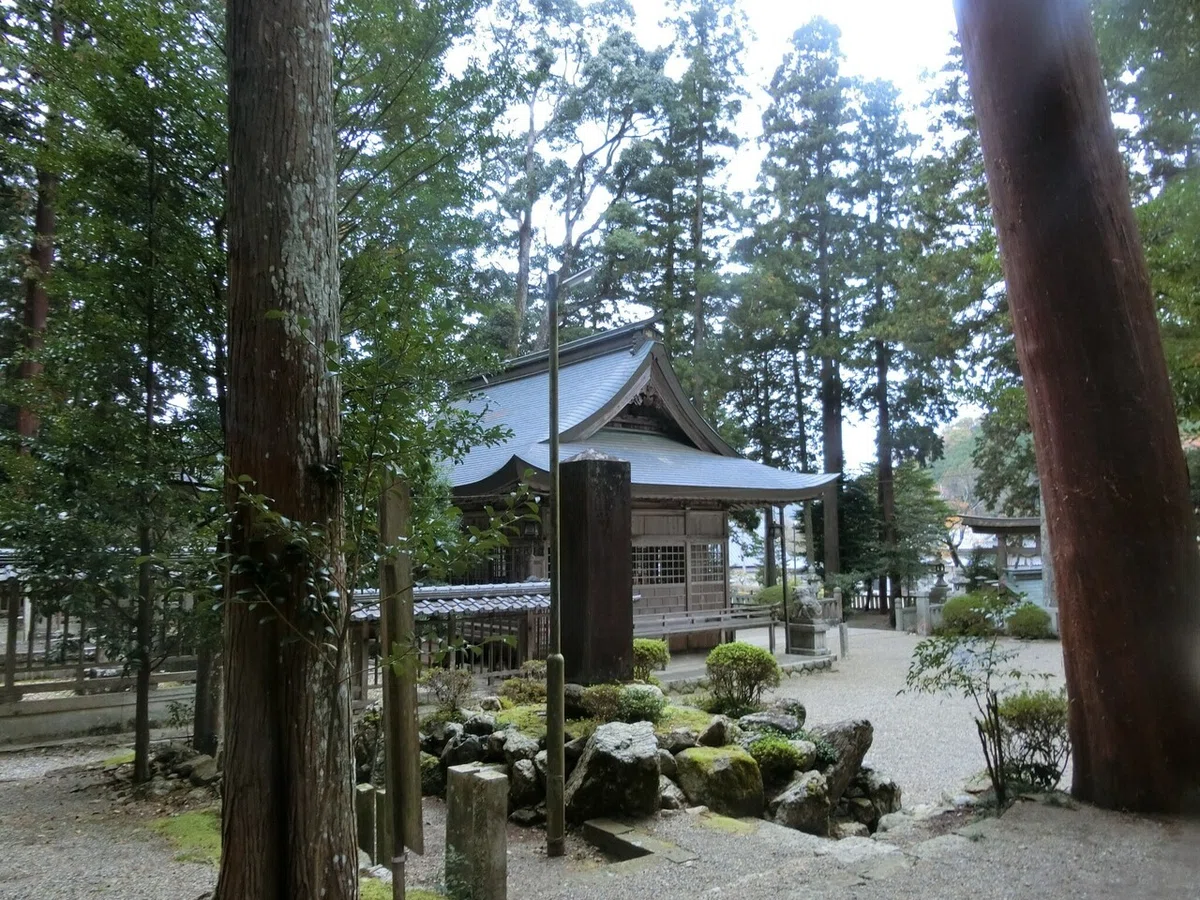 画像9