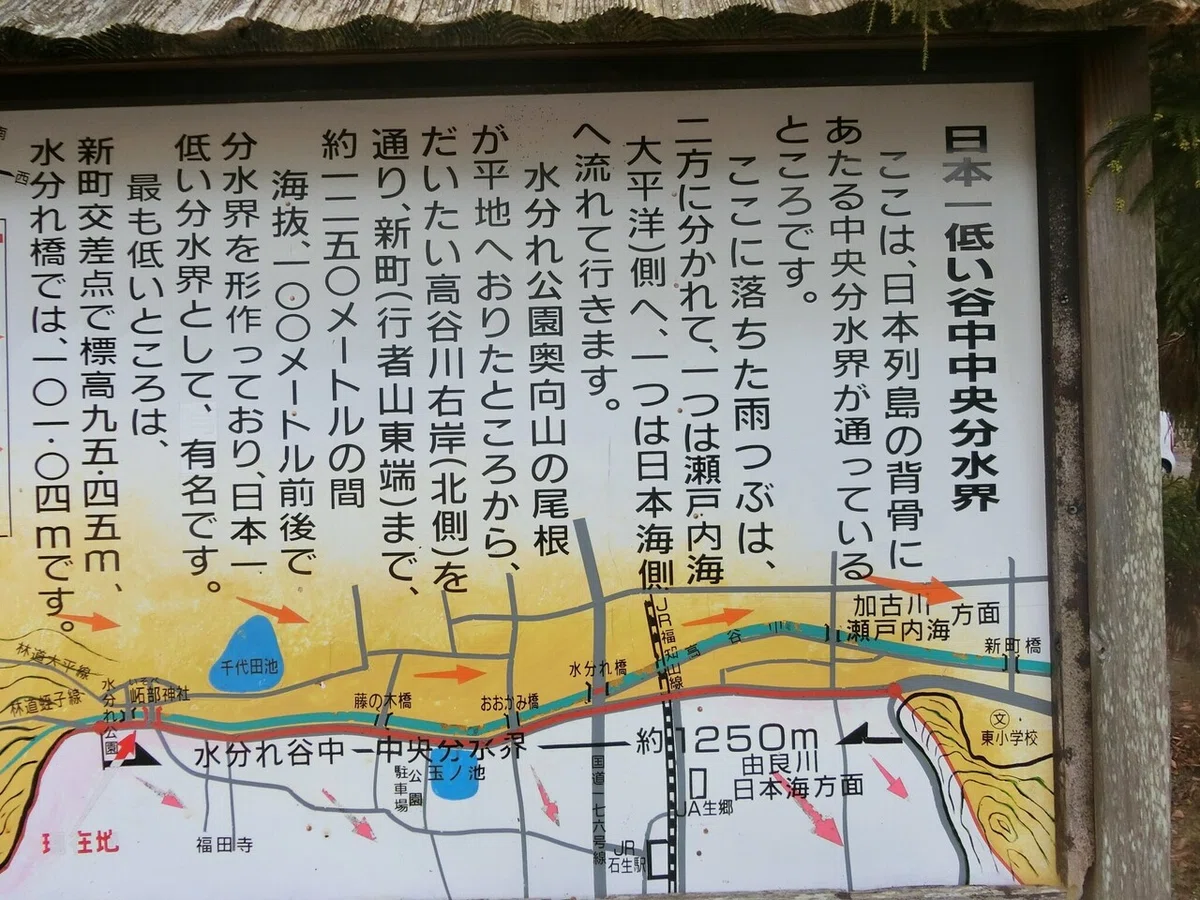 画像11