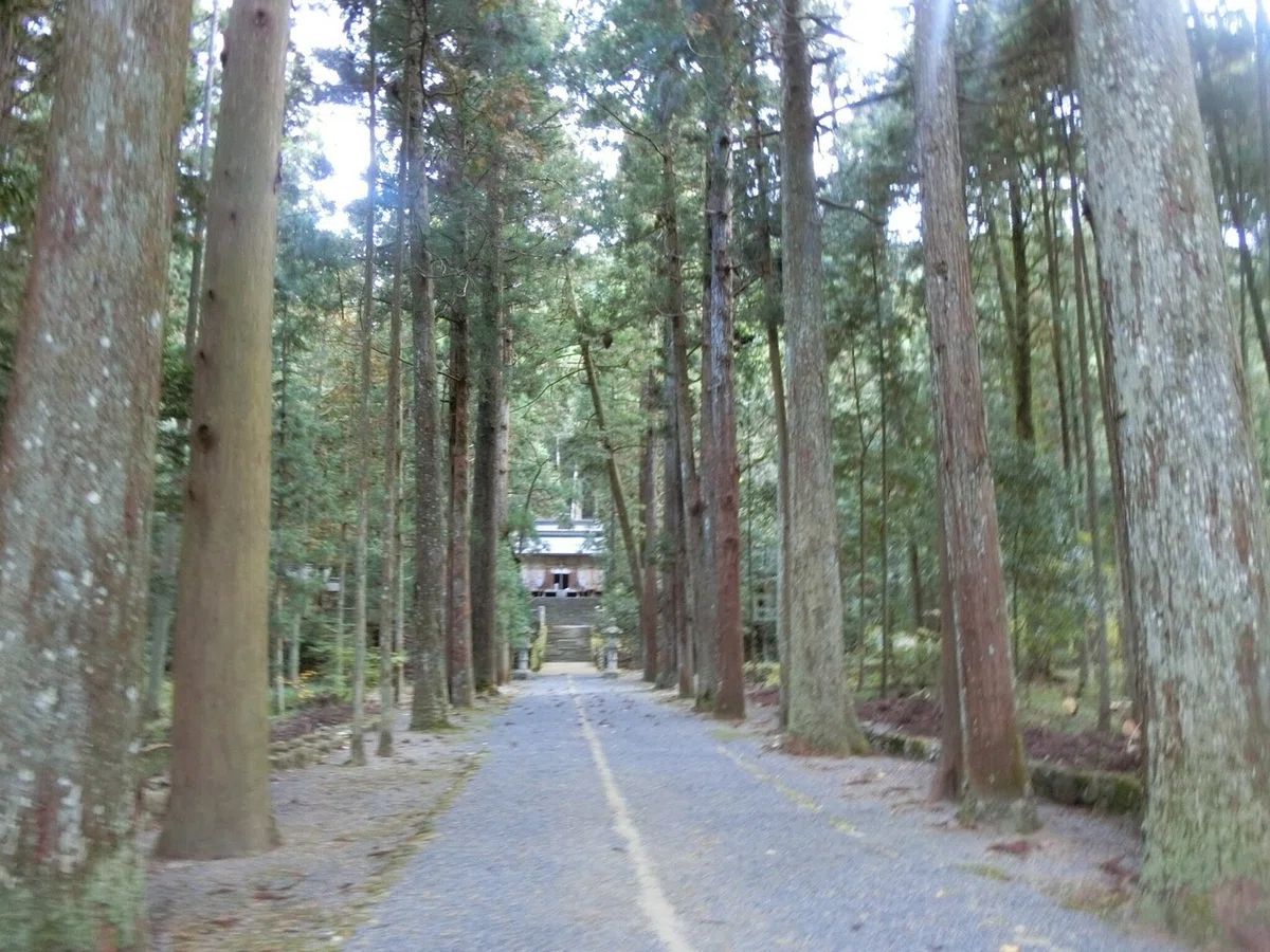 画像3