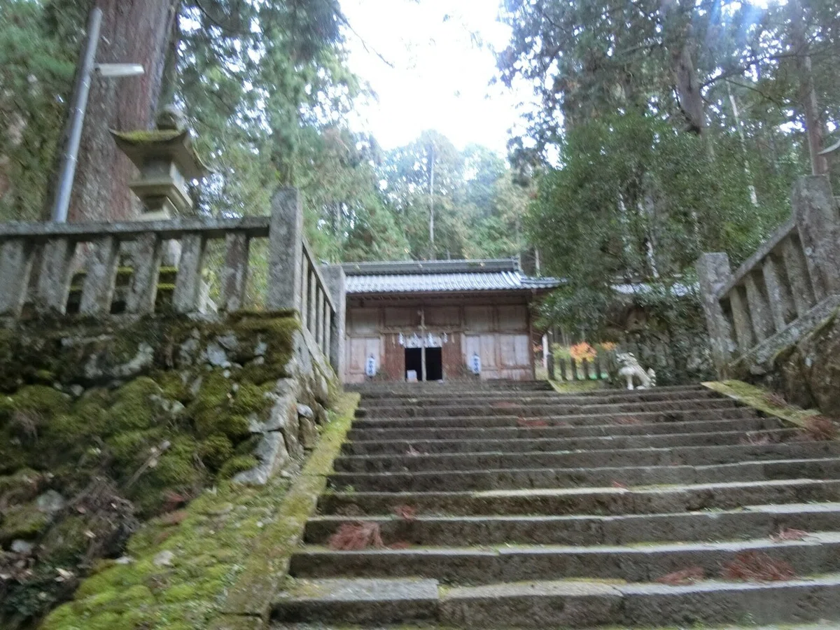画像4