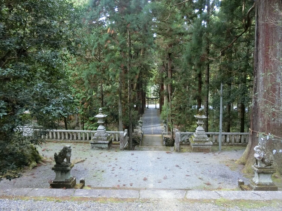 画像6