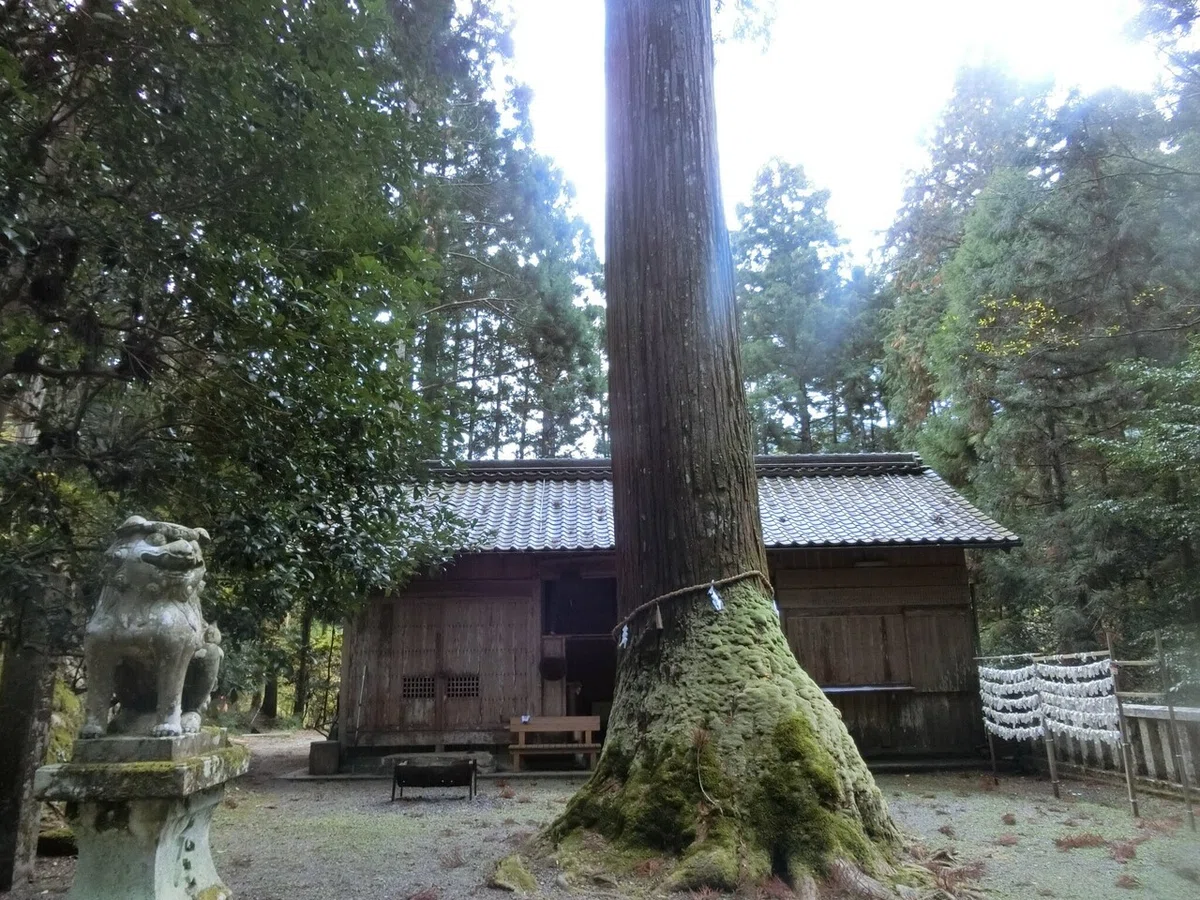 画像10