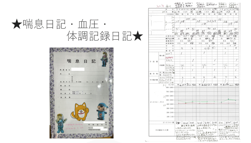 スクリーンショット (494)