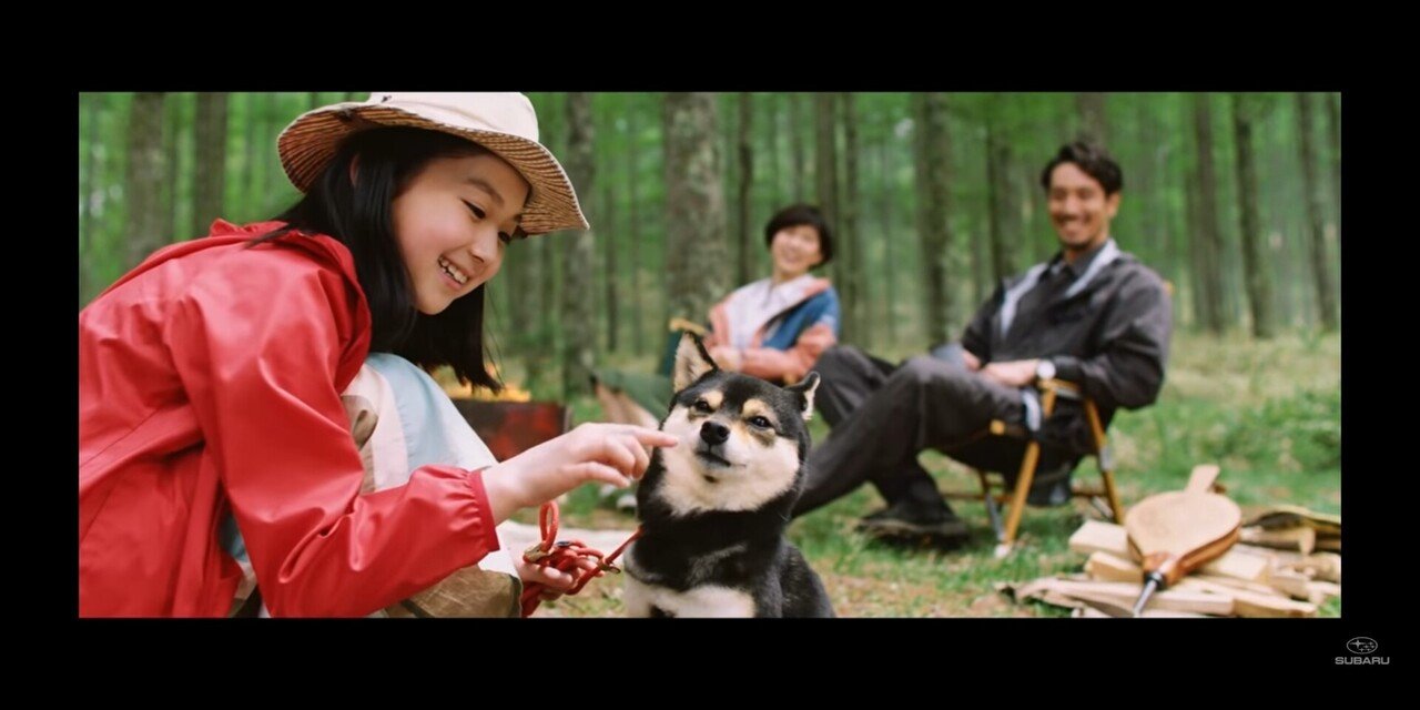 ちょっと油断していたら また柴犬がスバルのcmに出ていた話 しばいぬたろう Note ちょっと油断していたら また柴犬がスバルのcmに出ていた話 しばいぬたろう Note