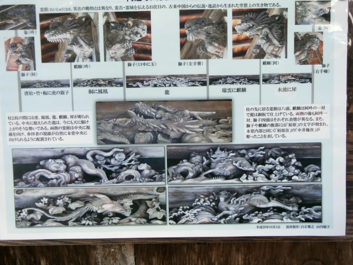 画像6