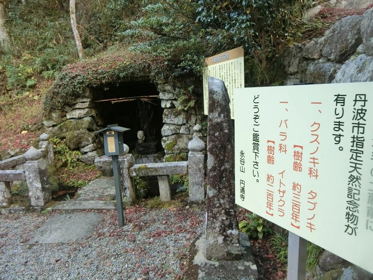 画像8