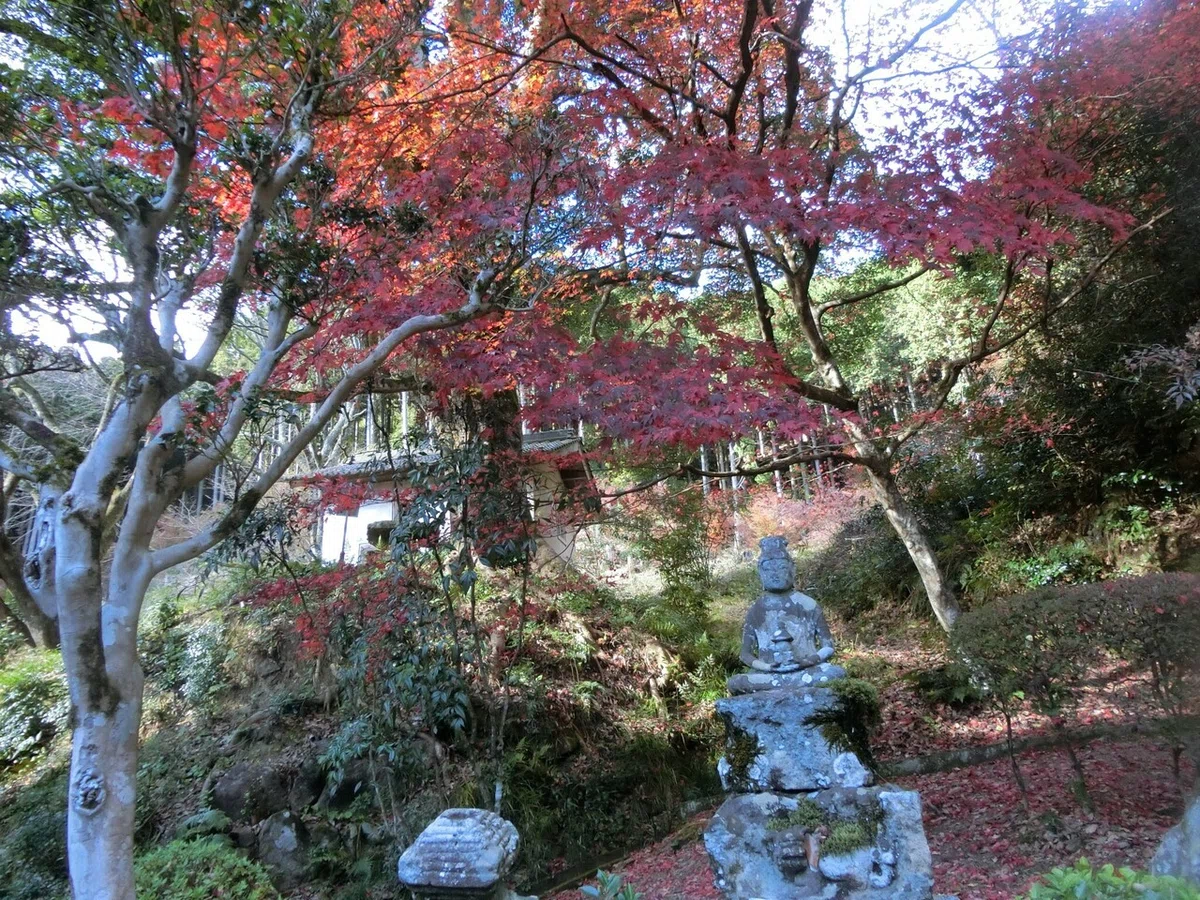 画像12