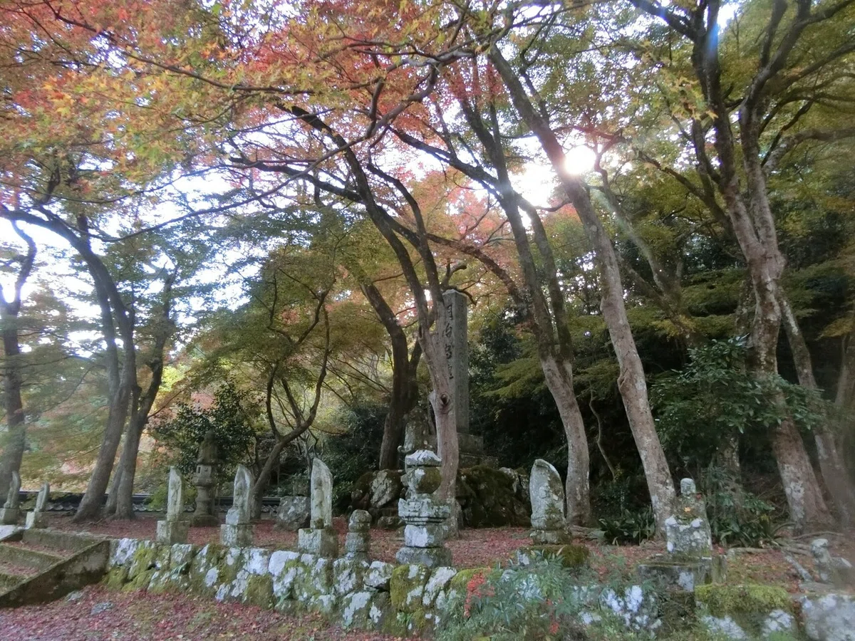 画像13
