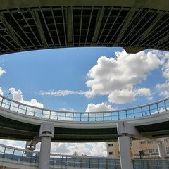 アストラッド・ジルベルト　来日　日本公演　チラシ アストラッド・ジルベルト 来日 日本公演 チラシ ジョアン・ジルベルト