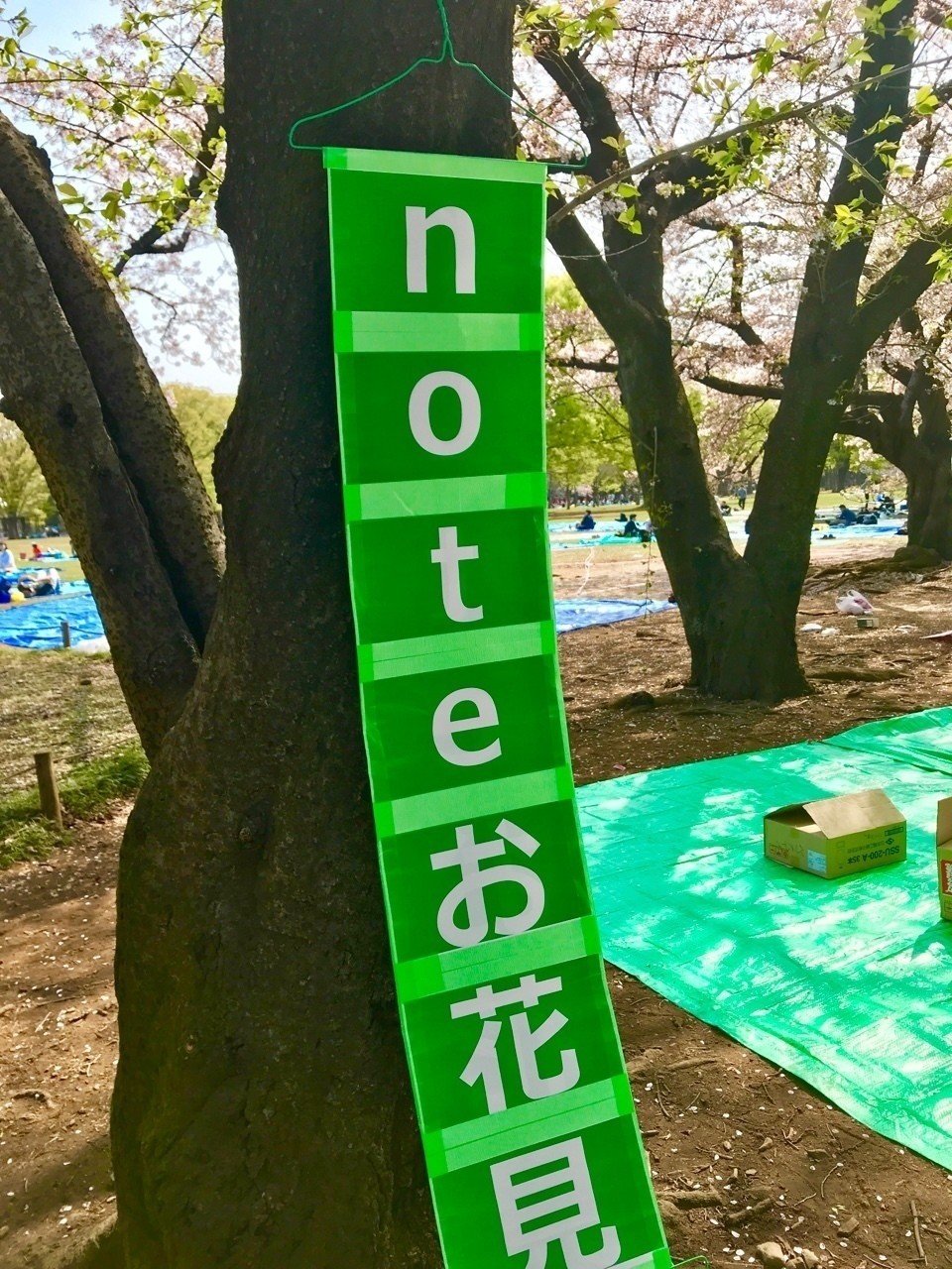 お花見のお誘い の場所取り完了 北千住 艸 Note
