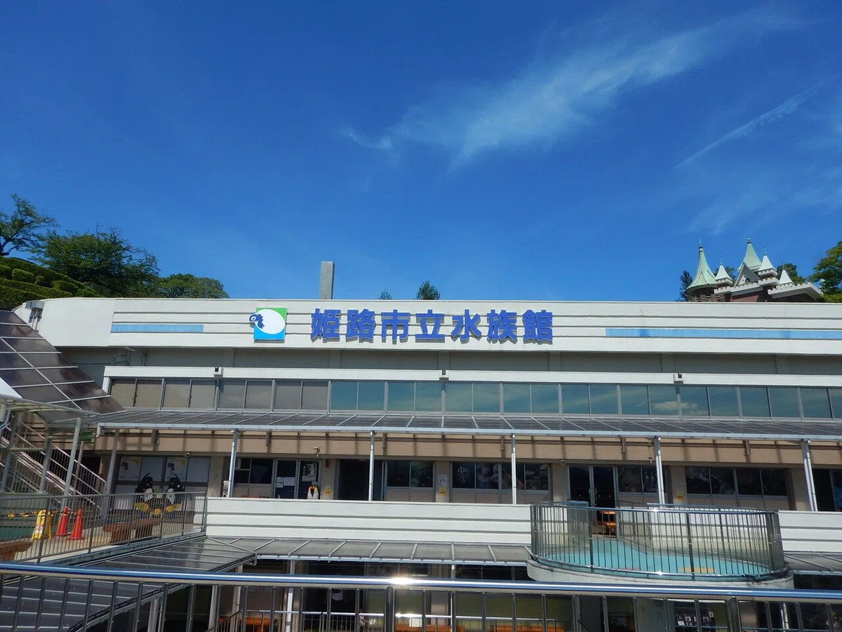 画像14