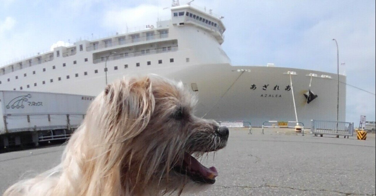 大阪から北海道まで犬連れ引越し 犬連れ北海道移住者 Note