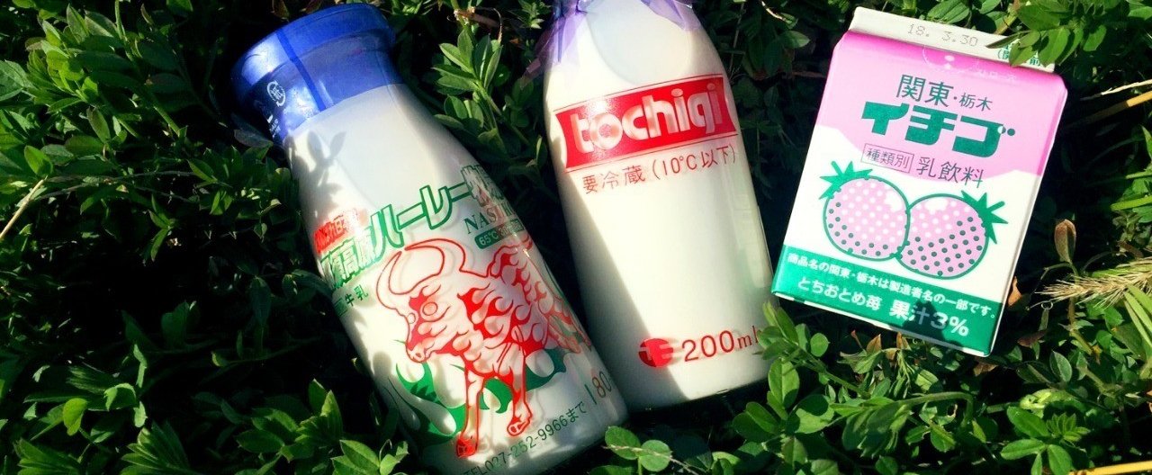 いちご乳牛♡いいから買ってね(_ _) オブセ牛乳 大人買い いちごもち – オブセ牛乳ネットストア