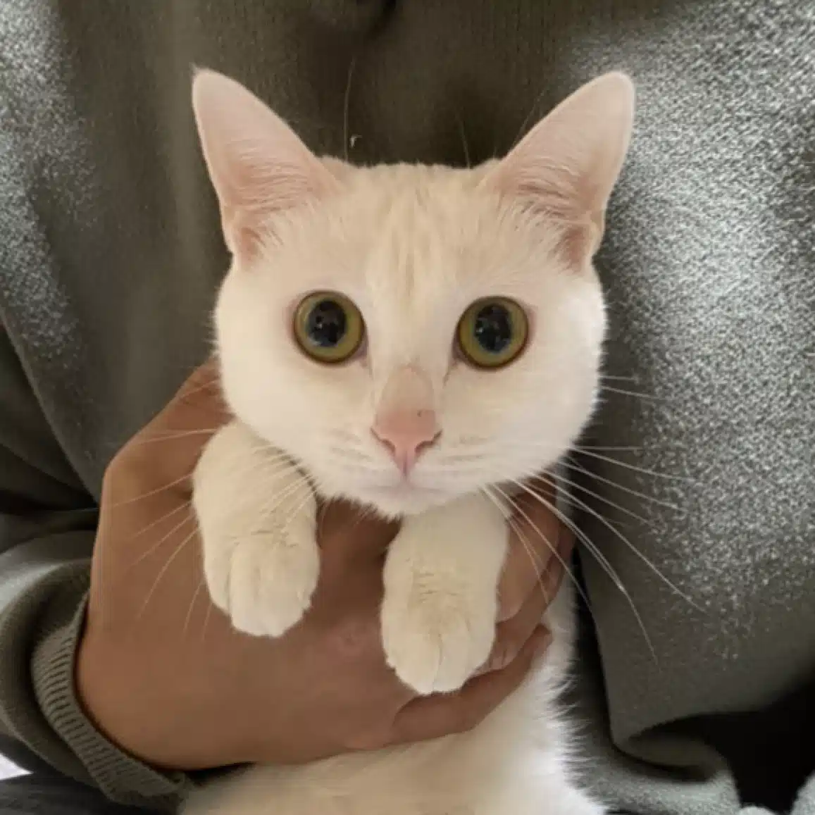 鈴木さち