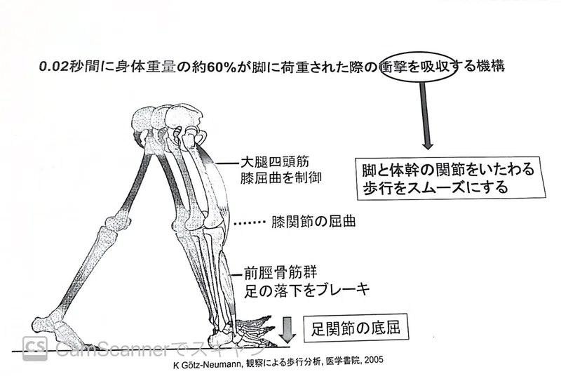 底屈バンパー付短下肢装具を知ろう スライス王子 Note