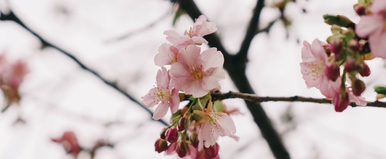 株式会社マネーフォワードを退職して新しい環境でチャレンジします｜bannzai｜note アイキャッチ