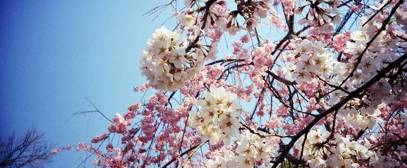 出会いと別れは 光と影のように Asako Yamaoka Note 出会いと別れは 光と影のように Asako Yamaoka Note